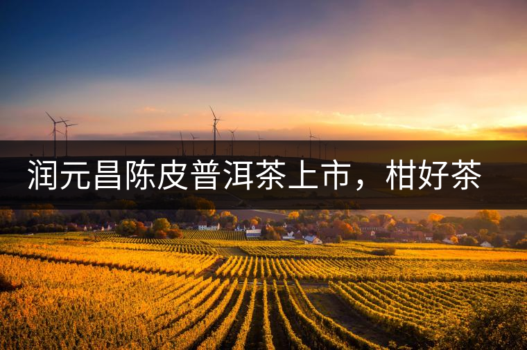 潤元昌陳皮普洱茶上市，柑好茶更好，精品普洱茶