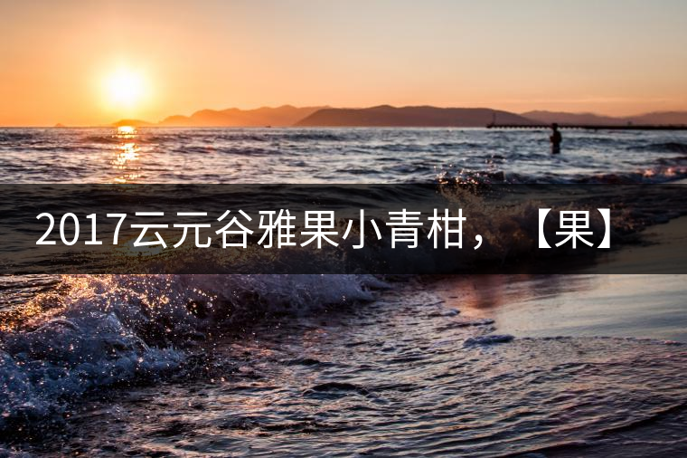 2017云元谷雅果小青柑，【果】真來了