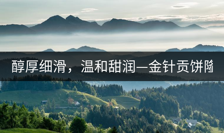 醇厚細(xì)滑，溫和甜潤—金針貢餅隆重上市！