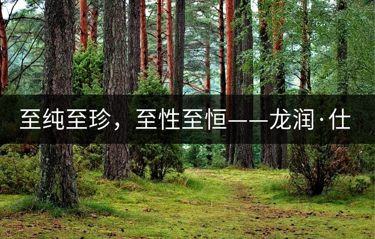 至純至珍，至性至恒——龍潤·仕通茶新上市！