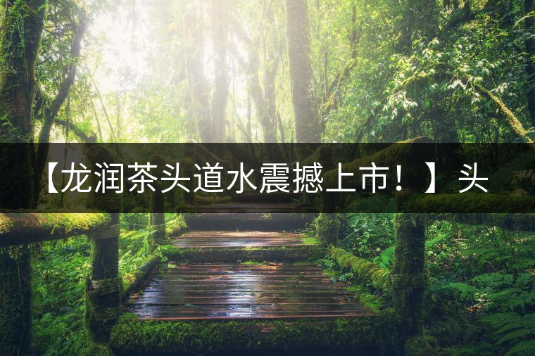 【龍潤茶頭道水震撼上市！】頭道水，二道茶，三道四道是精華！