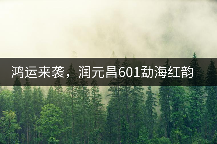 鴻運來襲，潤元昌601勐海紅韻熟茶即將上市