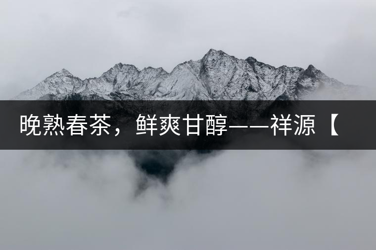 晚熟春茶，鮮爽甘醇——祥源【政和大白】清鮮上市