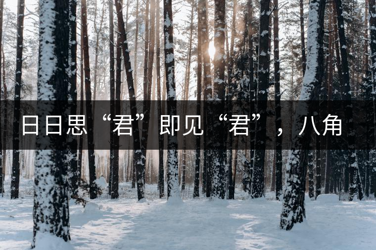 日日思“君”即見(jiàn)“君”，八角亭竹筒茶君子即將上市