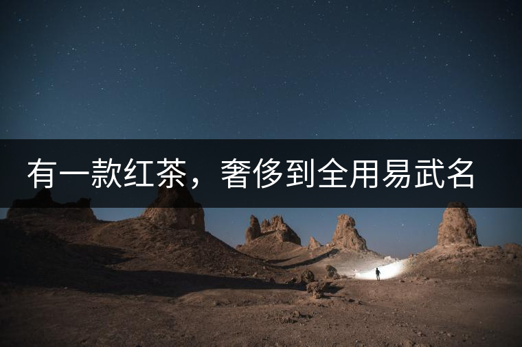 有一款紅茶，奢侈到全用易武名寨古樹茶發(fā)酵！