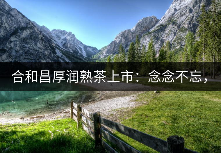 合和昌厚潤熟茶上市：念念不忘，必有回響！