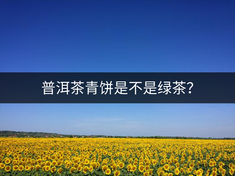 普洱茶青餅是不是綠茶？