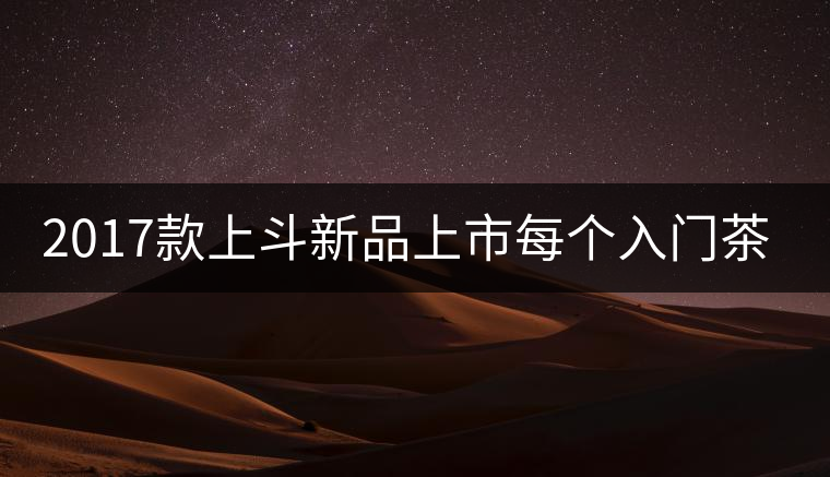 2017款上斗新品上市每個入門茶人都欠自己一餅上斗！