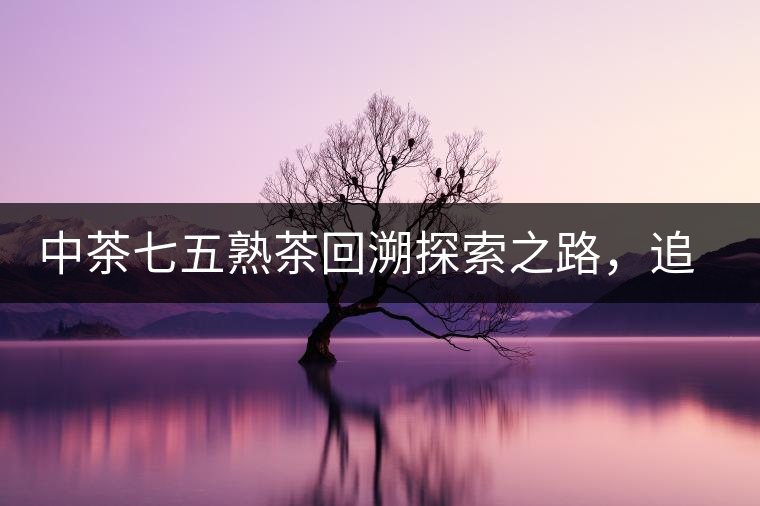 中茶七五熟茶回溯探索之路，追尋歷史印跡