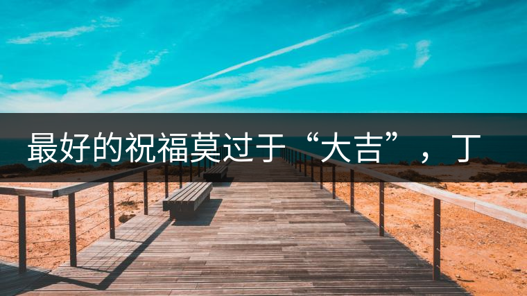 最好的祝福莫過于“大吉”，丁酉年生肖餅震撼來襲！