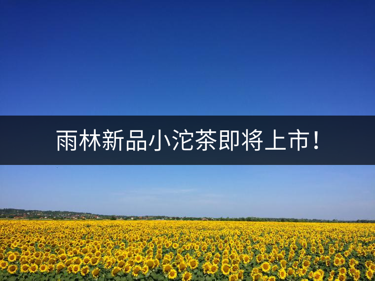 雨林新品小沱茶即將上市！