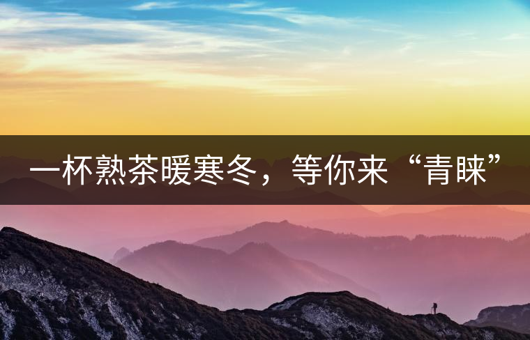 一杯熟茶暖寒冬，等你來“青睞”