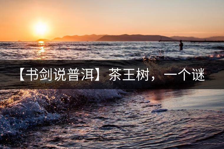 【書劍說普洱】茶王樹，一個謎一樣的地方