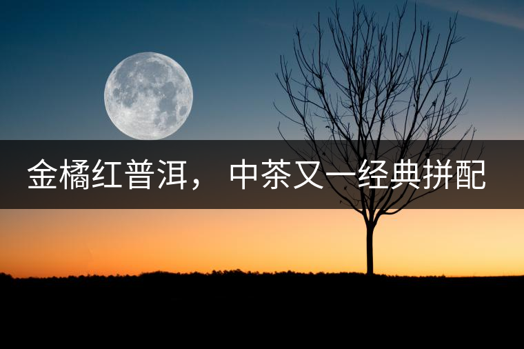 金橘紅普洱， 中茶又一經(jīng)典拼配力作，值得期待！