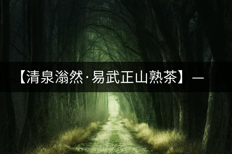 【清泉滃然·易武正山熟茶】——熨帖冬季的寒冷，來(lái)的正是時(shí)候！
