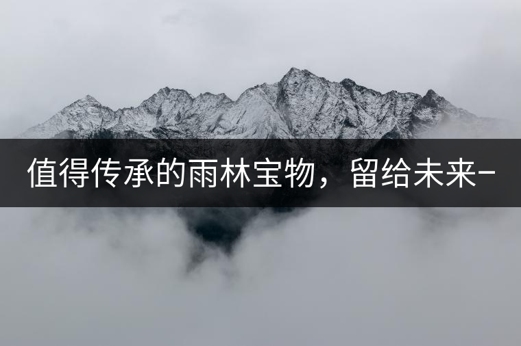 值得傳承的雨林寶物，留給未來一點(diǎn)“回甘”！