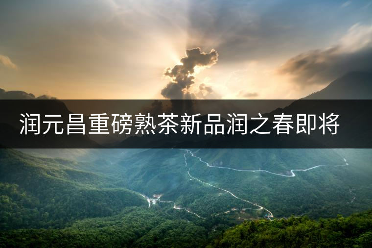 潤元昌重磅熟茶新品潤之春即將上市