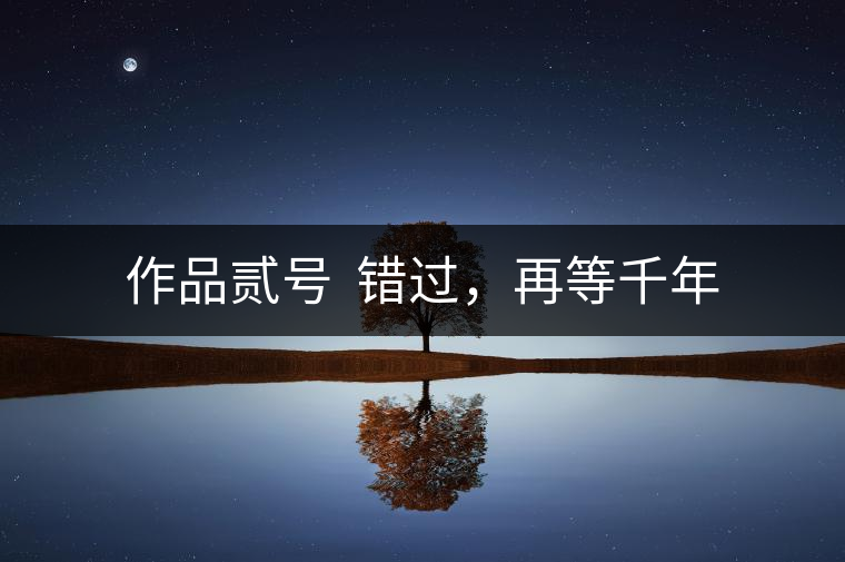 作品貳號  錯(cuò)過，再等千年