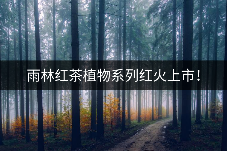 雨林紅茶植物系列紅火上市！