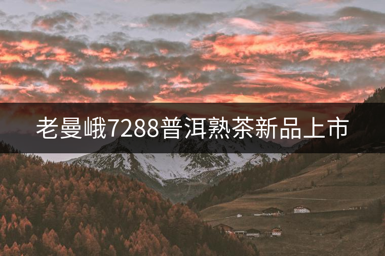 老曼峨7288普洱熟茶新品上市 老曼峨7288普洱熟茶新品上市