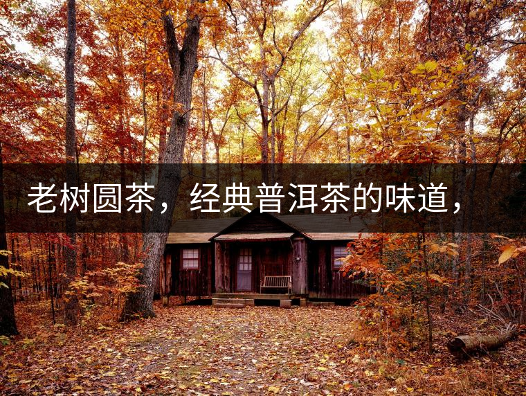 老樹圓茶，經(jīng)典普洱茶的味道，即將上市