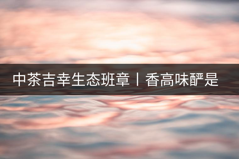 中茶吉幸生態(tài)班章丨香高味釅是王者，且品且珍惜