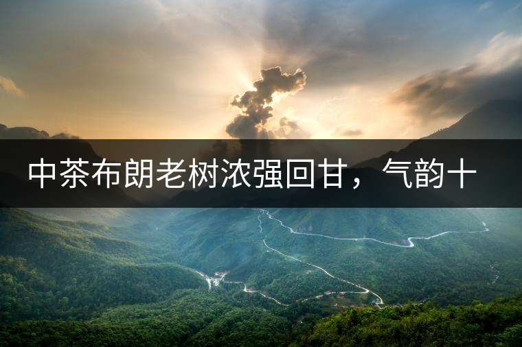 中茶布朗老樹濃強回甘，氣韻十足