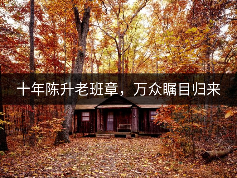 十年陳升老班章，萬眾矚目歸來