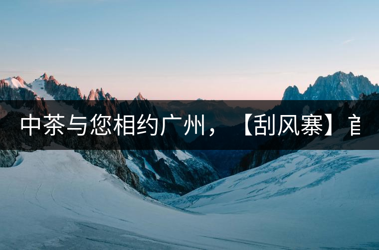 中茶與您相約廣州，【刮風(fēng)寨】首次亮相！
