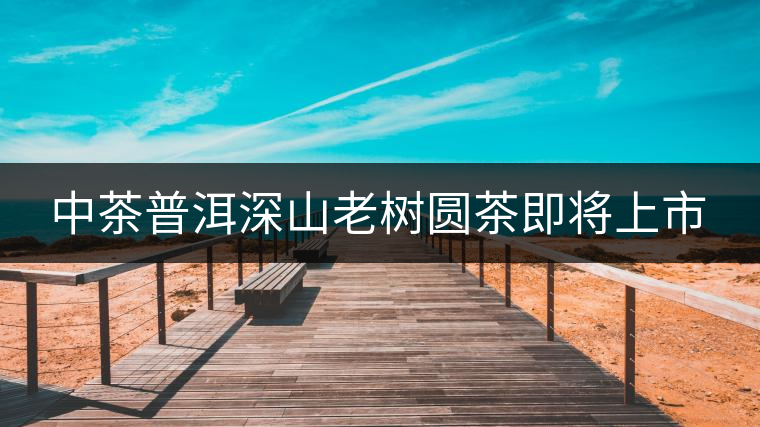 中茶普洱深山老樹(shù)圓茶即將上市