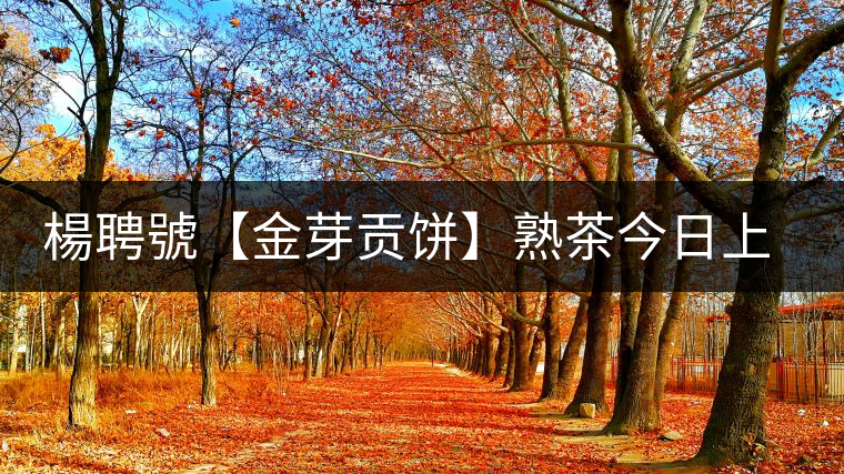 楊聘號(hào)【金芽貢餅】熟茶今日上市