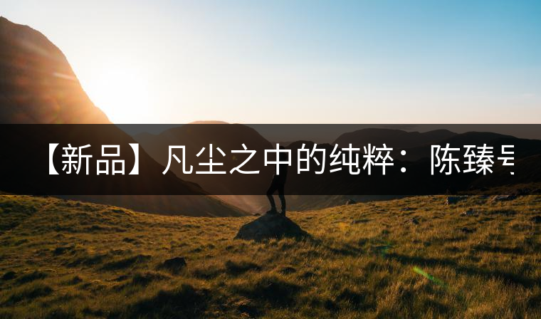 【新品】凡塵之中的純粹：陳臻號(hào)2016年精品青餅即將上市！