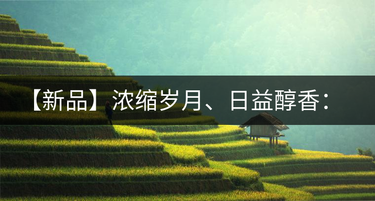 【新品】濃縮歲月、日益醇香：陳臻號陳品熟餅即將上市！