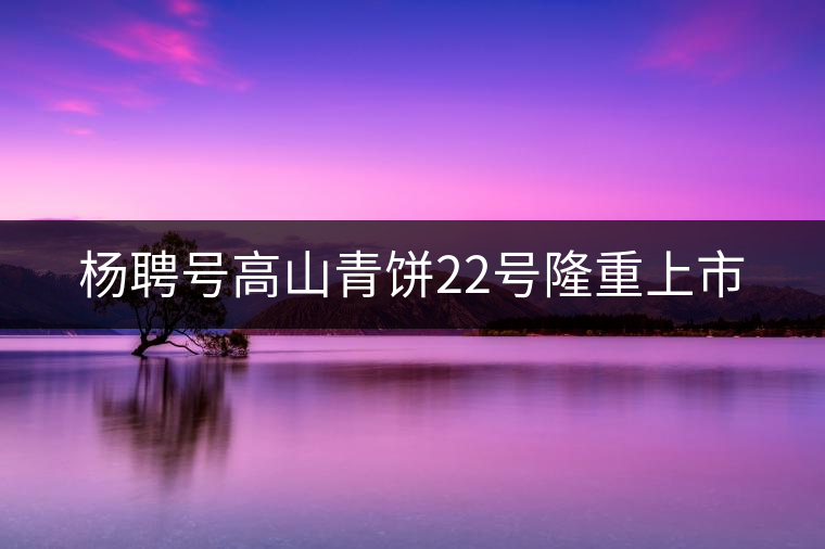 楊聘號(hào)高山青餅22號(hào)隆重上市