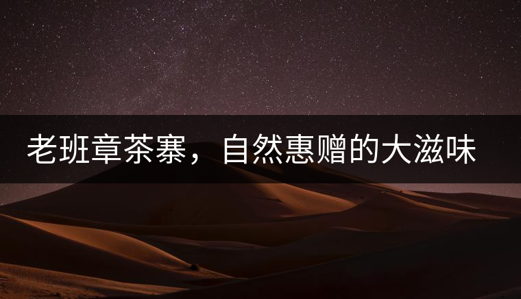 老班章茶寨，自然惠贈的大滋味，大滿足