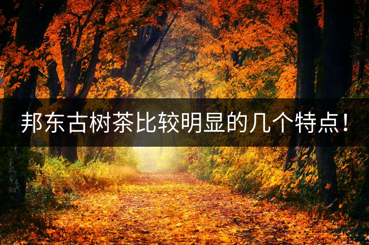 邦東古樹(shù)茶比較明顯的幾個(gè)特點(diǎn)！