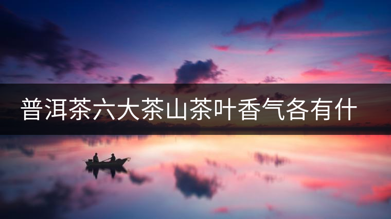 普洱茶六大茶山茶葉香氣各有什么特點？