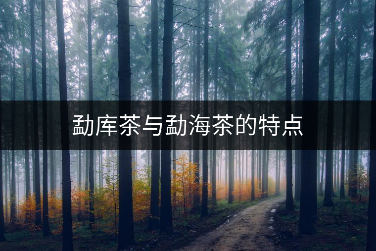 勐庫(kù)茶與勐海茶的特點(diǎn)