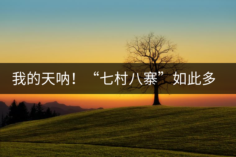 我的天吶！“七村八寨”如此多的易武茶，品質(zhì)特色如何分辨？