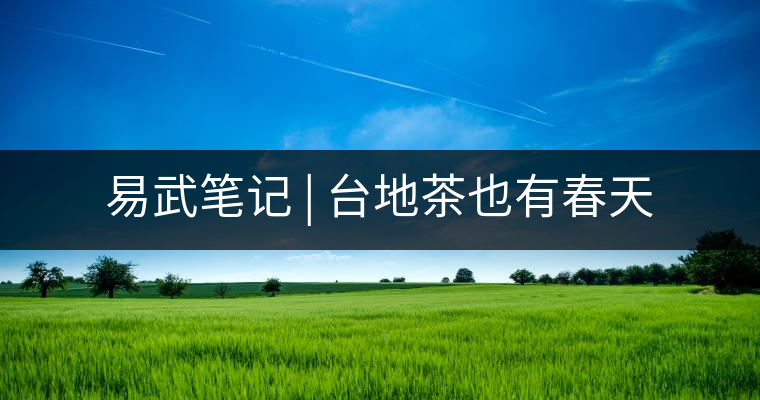 易武筆記 | 臺(tái)地茶也有春天