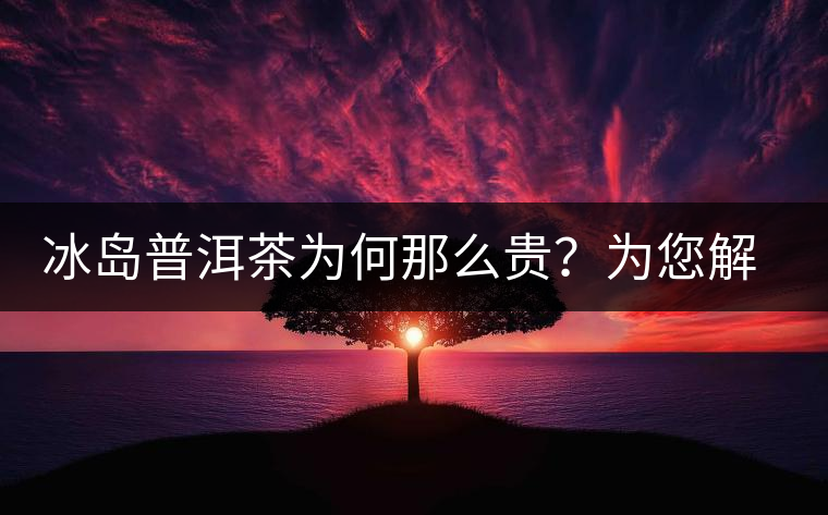 冰島普洱茶為何那么貴？為您解析其中的原由