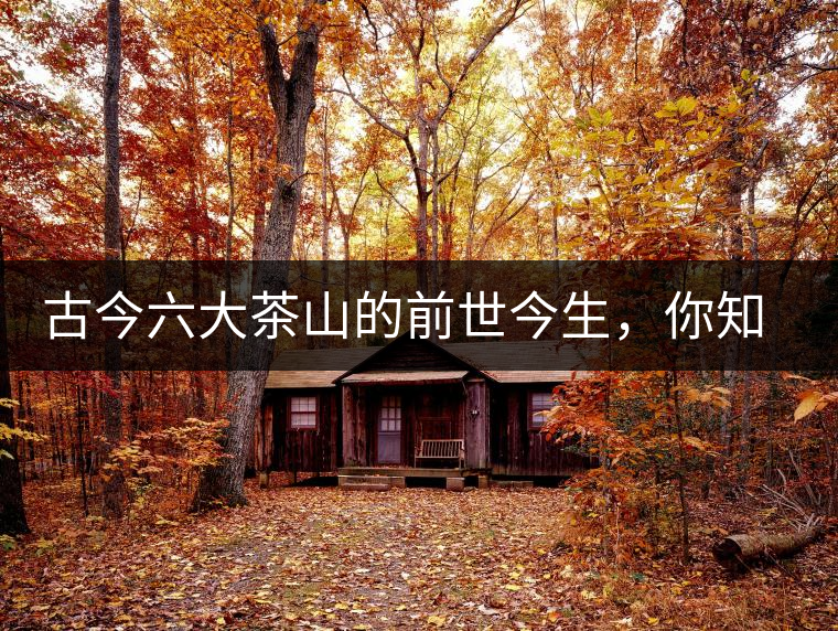 古今六大茶山的前世今生，你知多少？