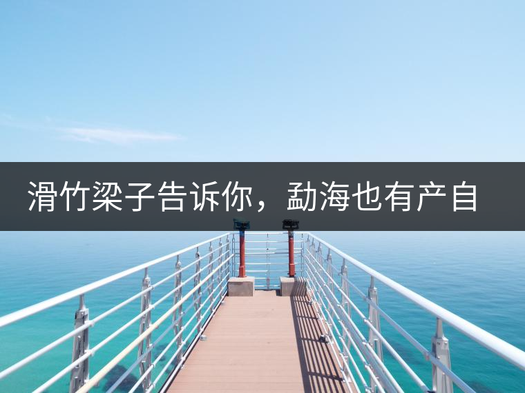 滑竹梁子告訴你，勐海也有產(chǎn)自國有林里的好茶！