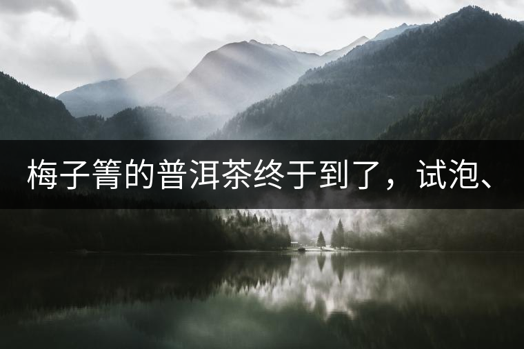 梅子箐的普洱茶終于到了，試泡、、、