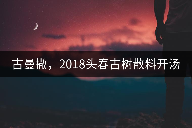 古曼撒，2018頭春古樹散料開湯