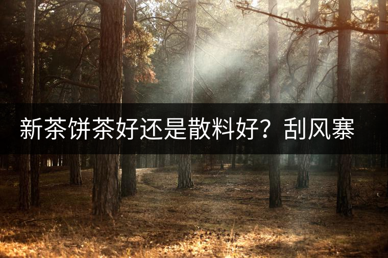 新茶餅茶好還是散料好？刮風(fēng)寨開湯評測