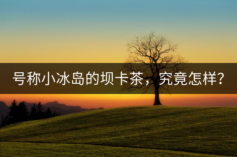 號(hào)稱小冰島的壩卡茶，究竟怎樣？