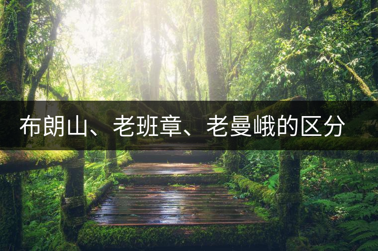 布朗山、老班章、老曼峨的區(qū)分和鑒別