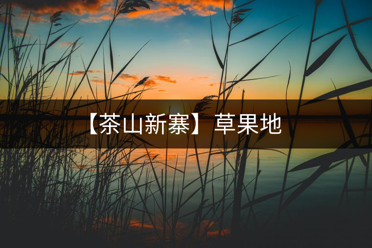 【茶山新寨】草果地