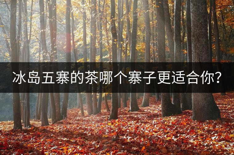 冰島五寨的茶哪個(gè)寨子更適合你？